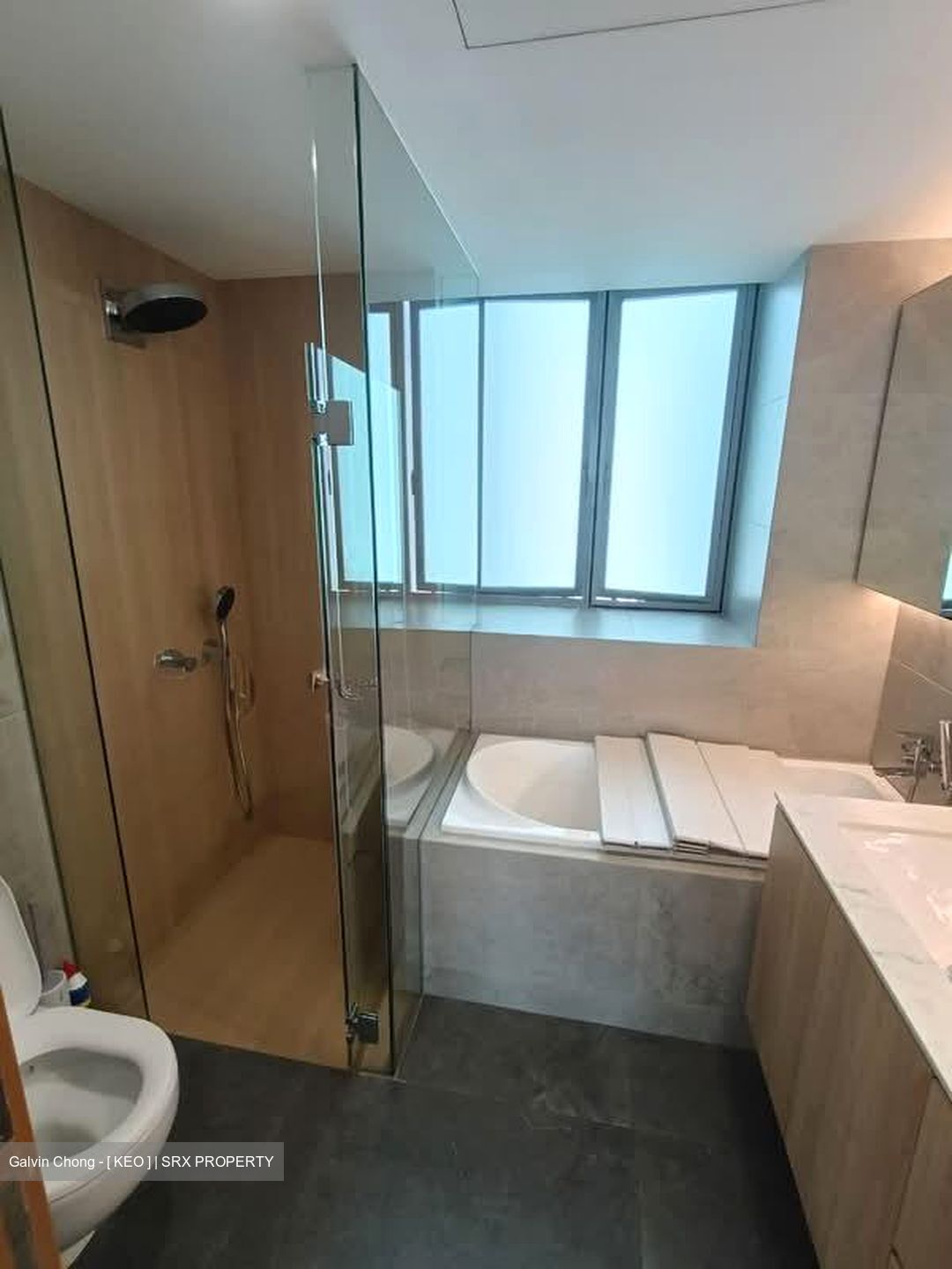 Park Infinia At Wee Nam (D11), Condominium #561035341